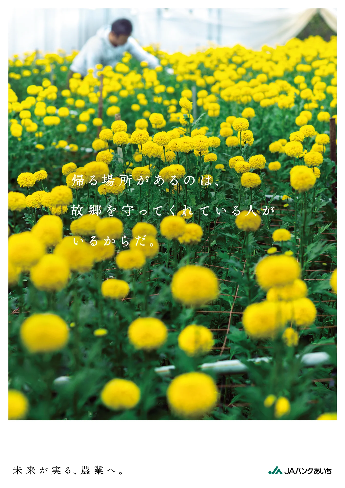 JA BANK AICHI — 6